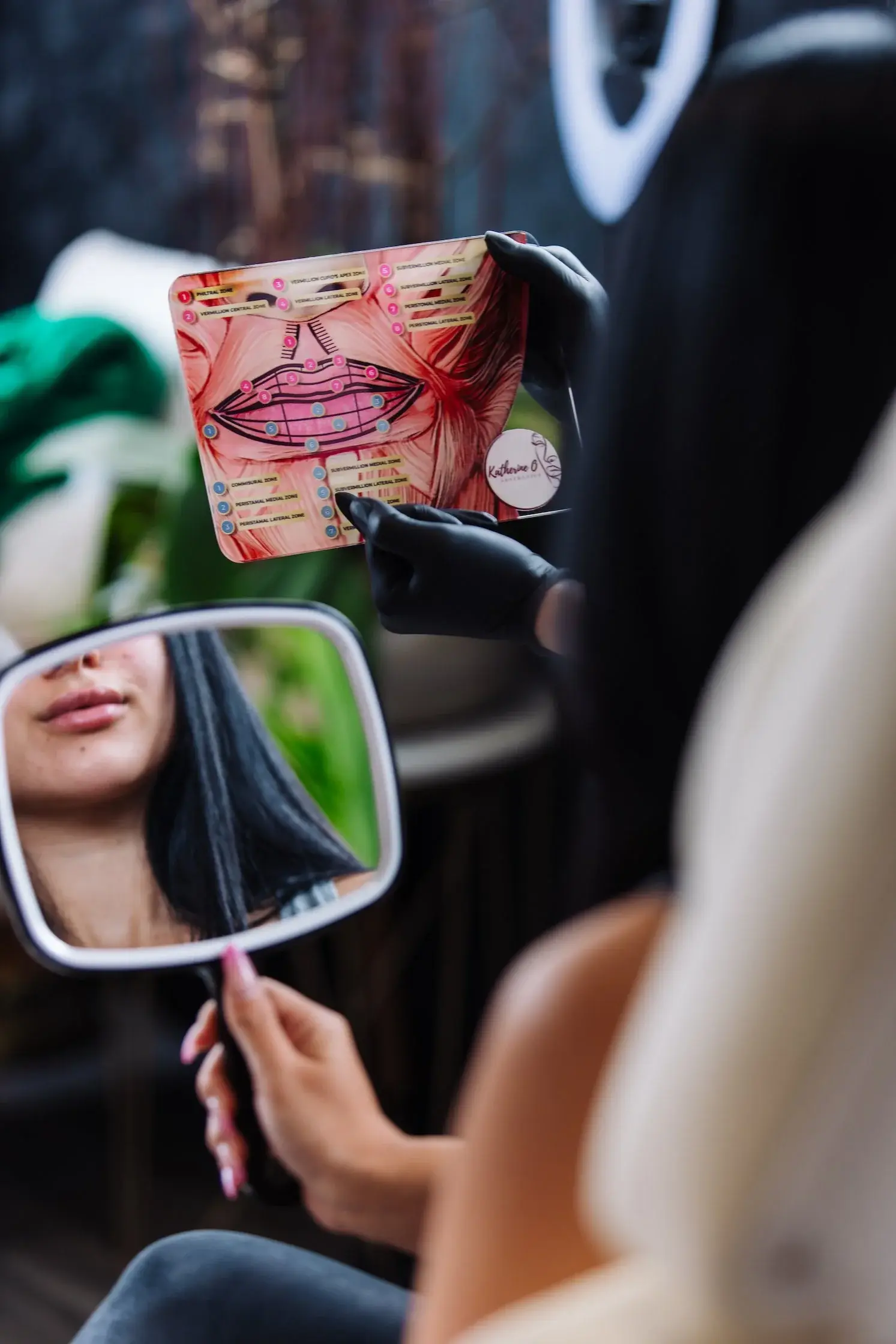 A lip anatomy chart held up at a consultation while the patient watches in a hand mirror